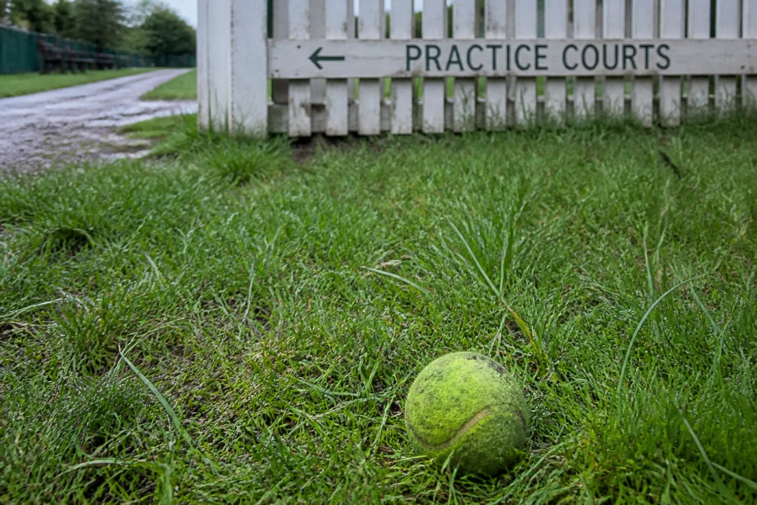 Roehampton grass: the raw prelude to Wimbledon